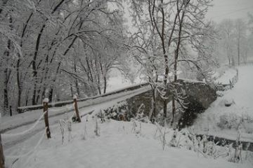 Ponte romanico frazione Pezzasco