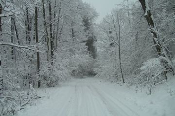 ... sulla strada per la località Cascine di Ameno